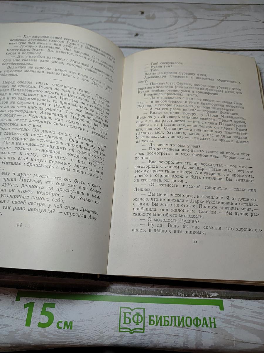 Собрание сочинений. Том второй: Рудин, Дворянское гнездо