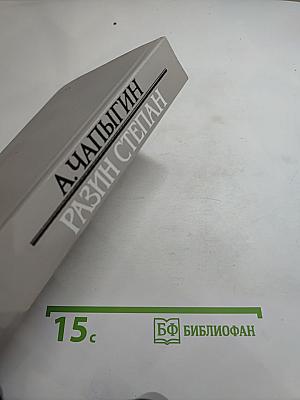 Разин Степан