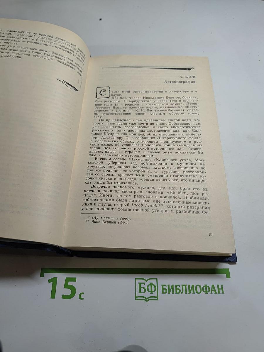 Я лучшей доли не искал... Судьба Александра Блока в письмах, дневниках, воспоминаниях