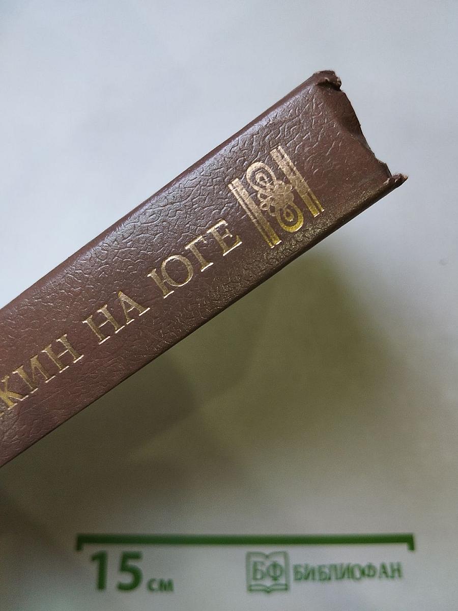 Пушкин на Юге