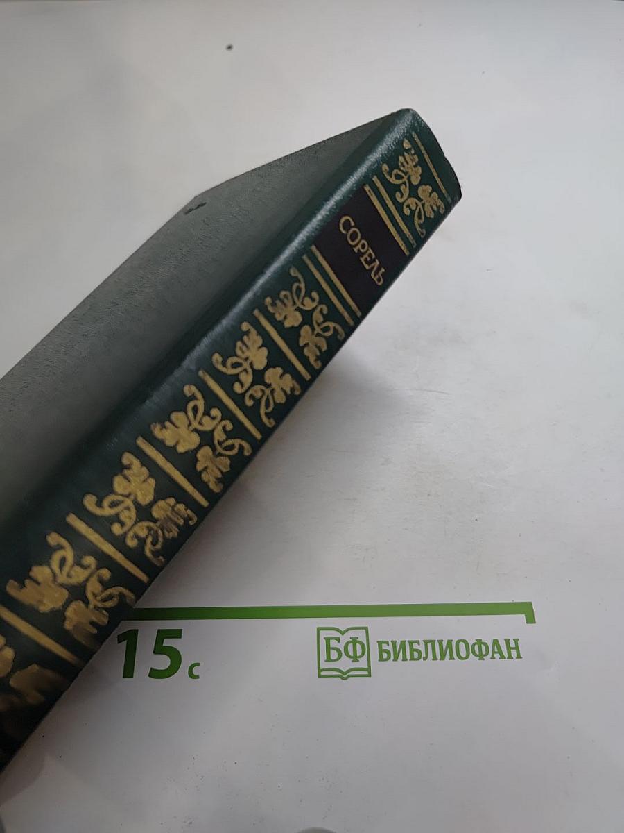 Правдивое комическое жизнеописание Франсиона