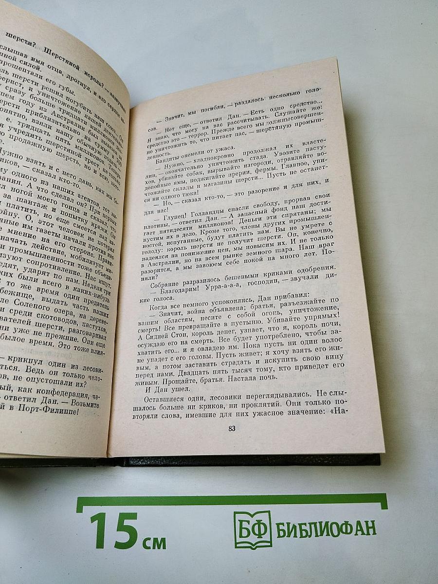 Чёрный штурман