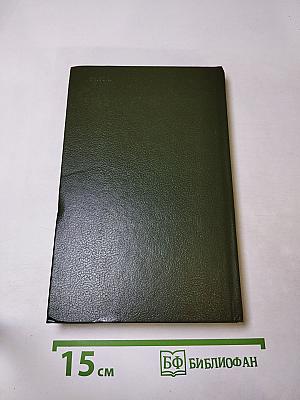 Чёрный штурман