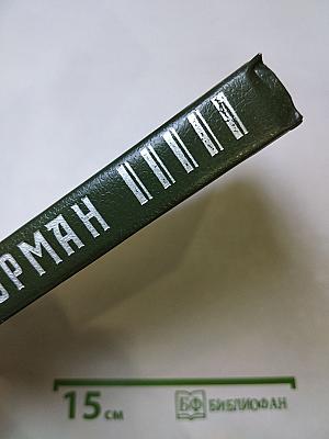 Чёрный штурман