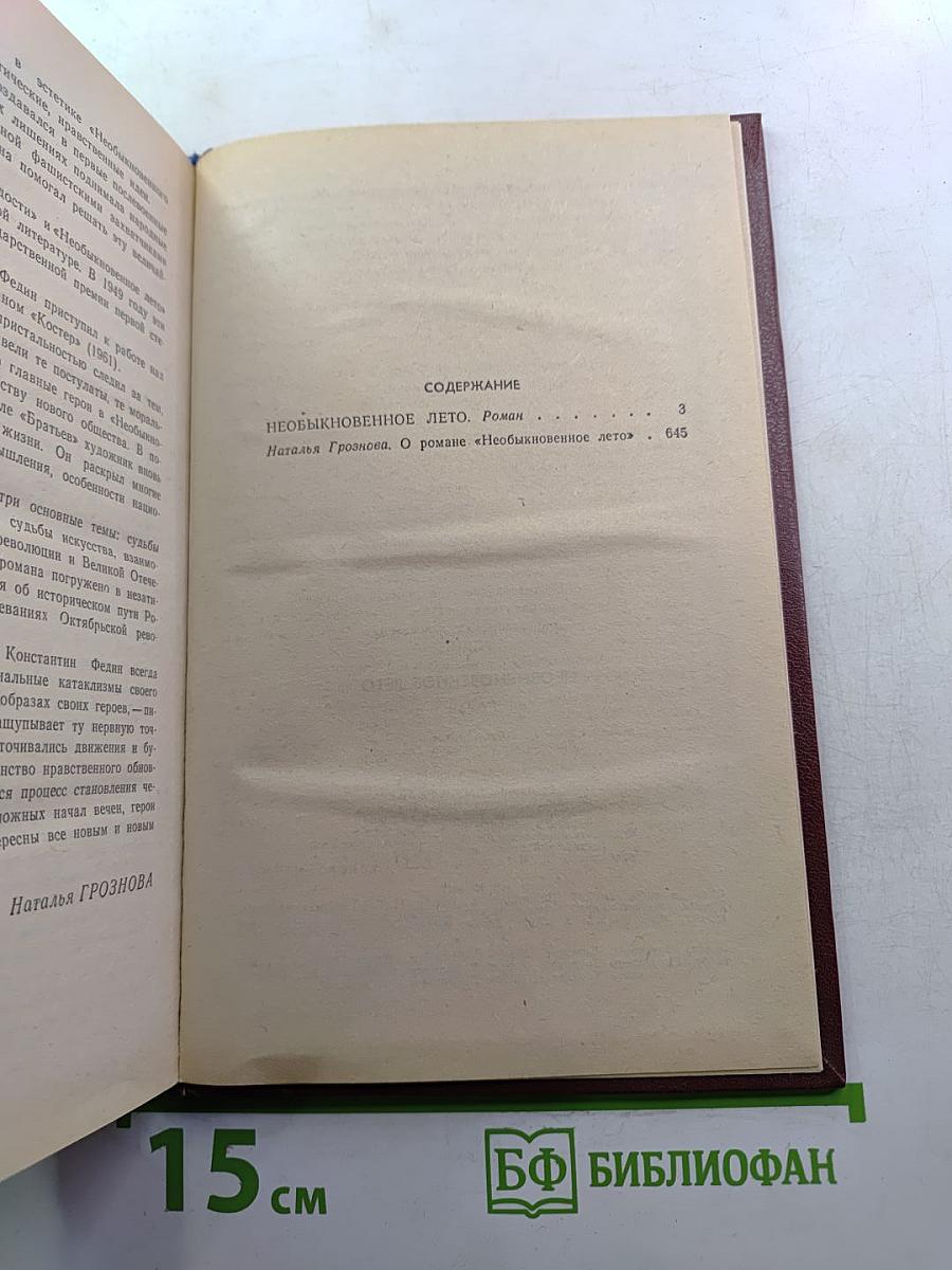 Необыкновенное лето
