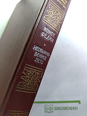 Необыкновенное лето