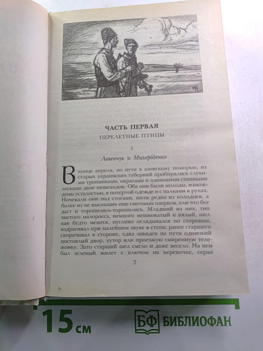 Беглые в Новороссии. Воля. Княжна Тараканова