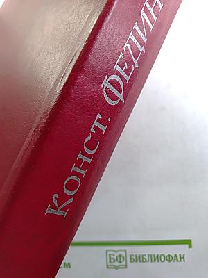 Первые радости. Необыкновенное лето