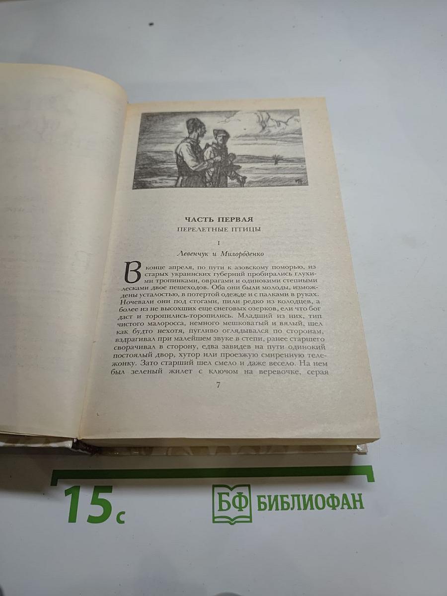 Беглые в Новороссии. Воля. Княжна Тараканова