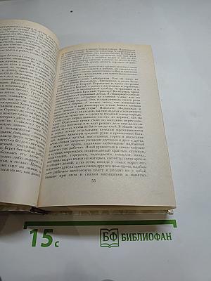 Беглые в Новороссии. Воля. Княжна Тараканова