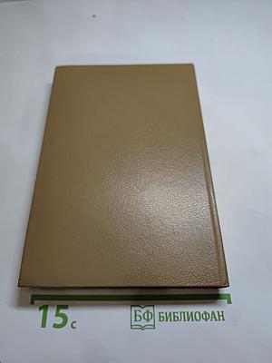 Последний бастион