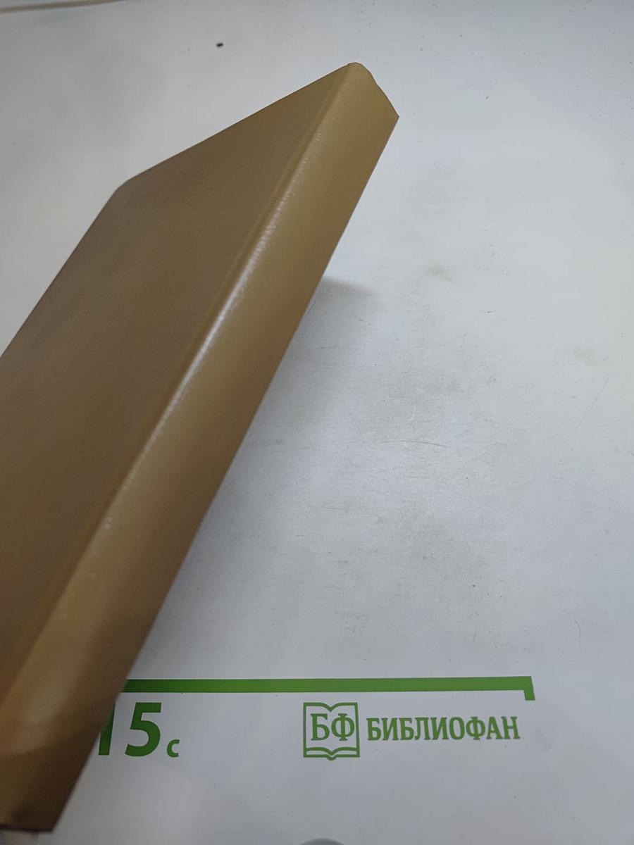 Последний бастион