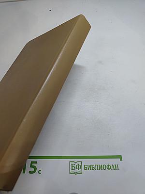 Последний бастион