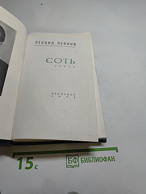 Соть