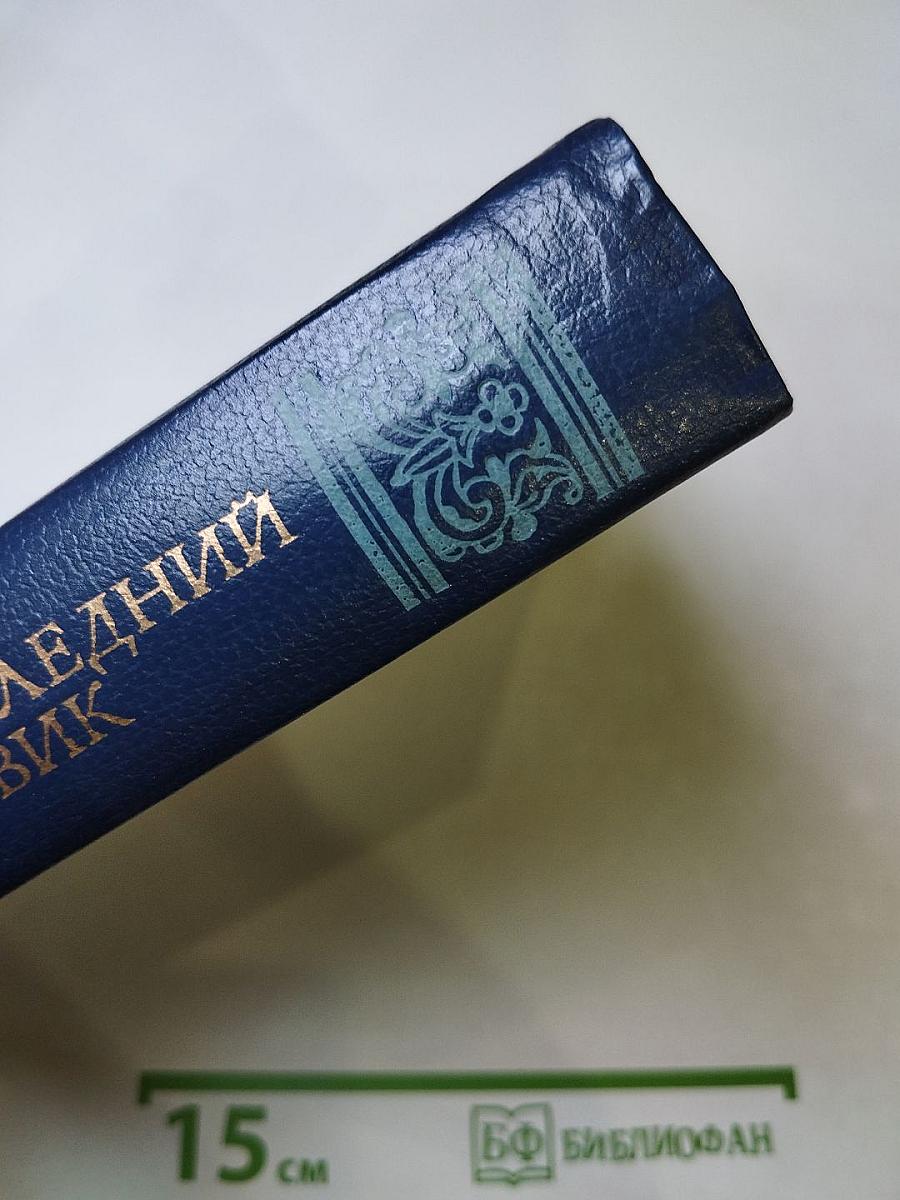 Последний Новик