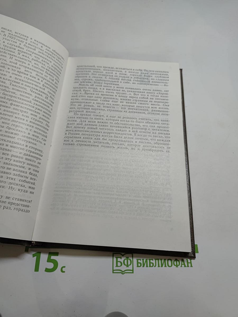 Литератор. Дневники и письма