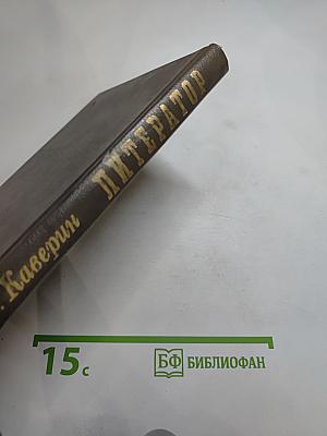 Литератор. Дневники и письма