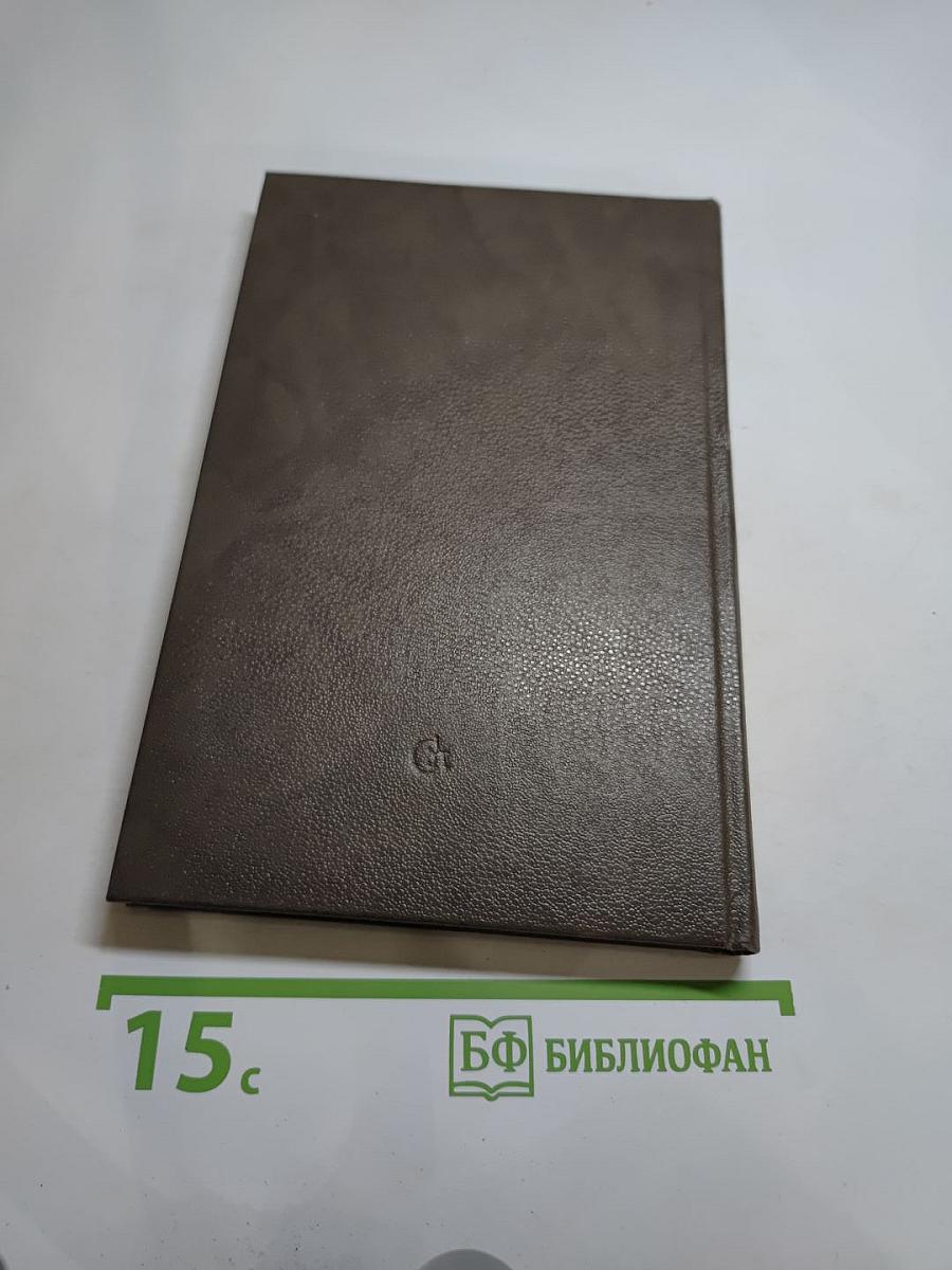 Литератор: Дневники и письма