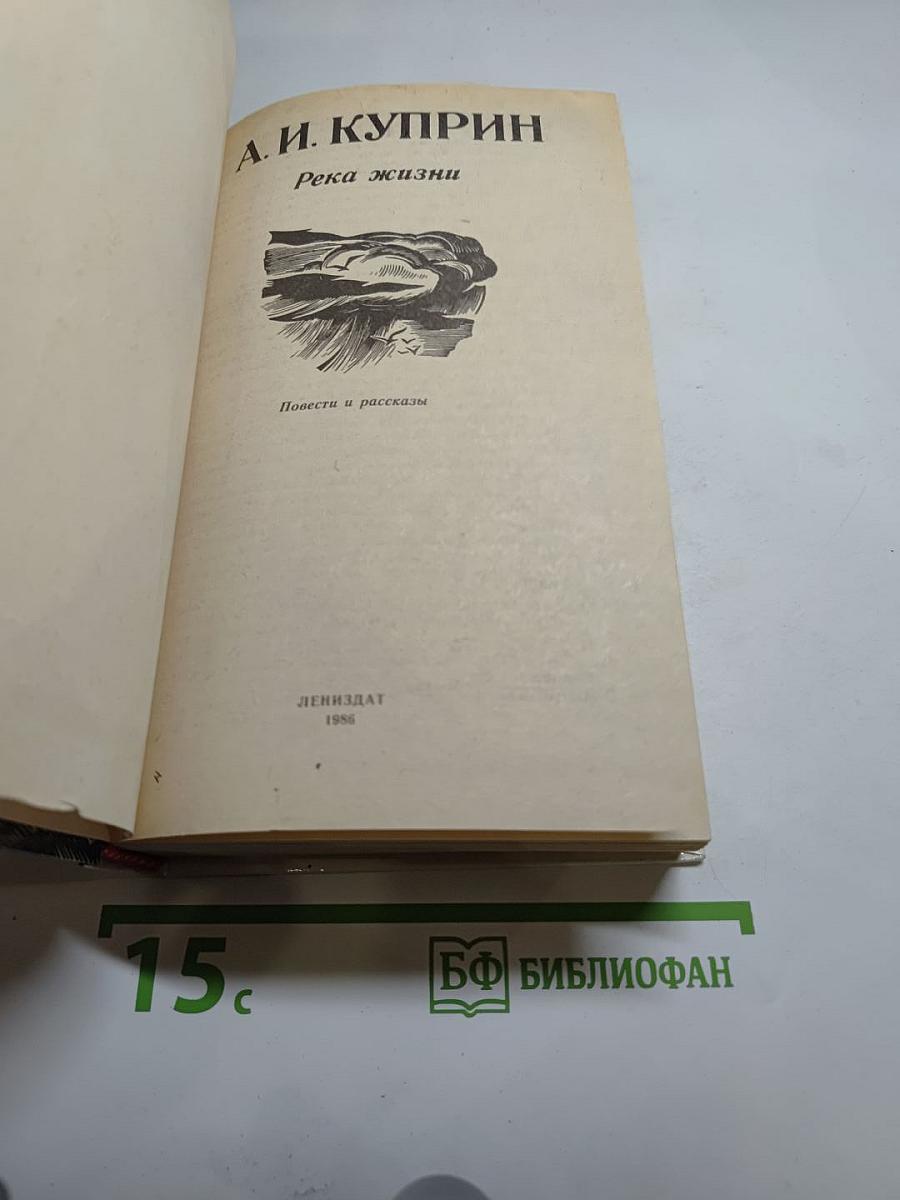 Река жизни. Повести и рассказы