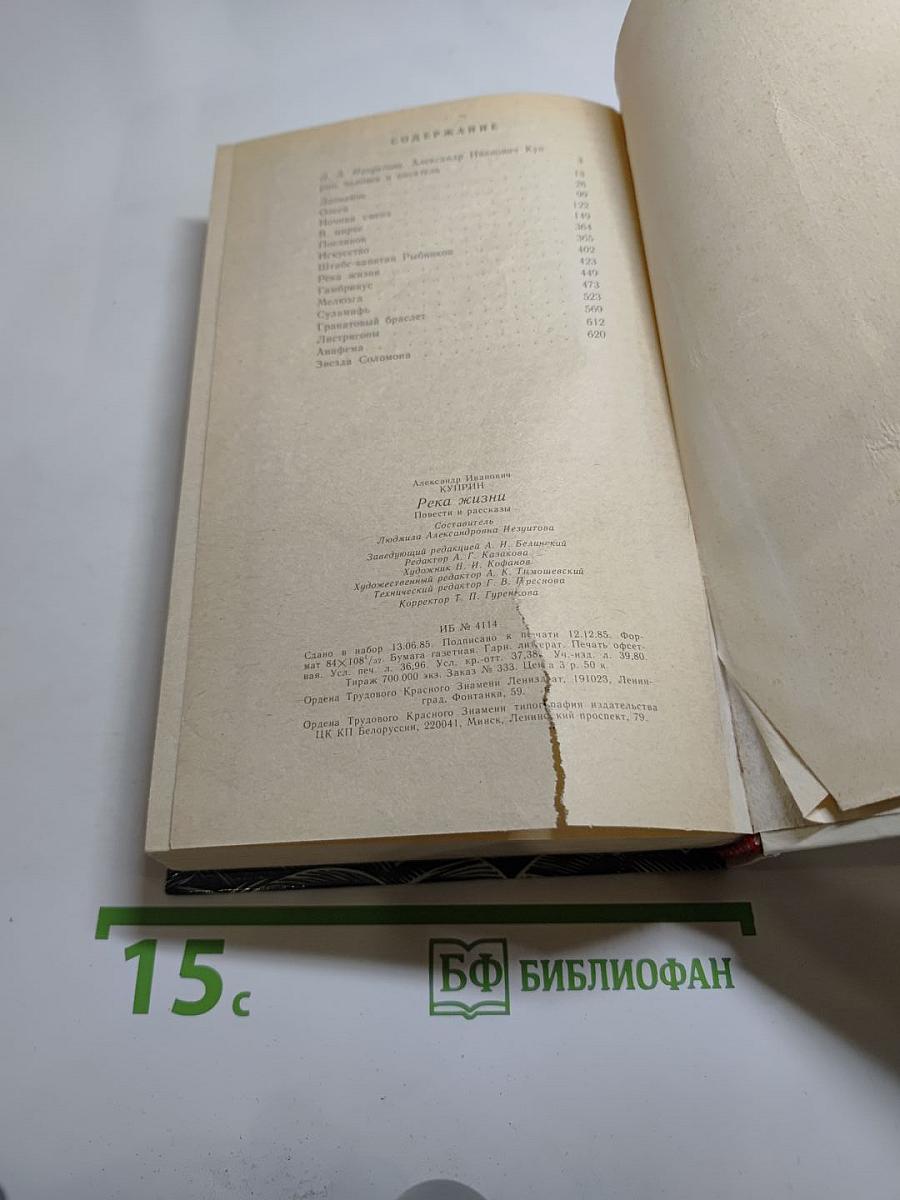 Река жизни. Повести и рассказы