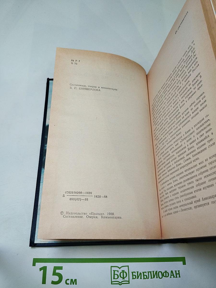 Я лучшей доли не искал... Судьба Александра Блока в письмах, дневниках, воспоминаниях