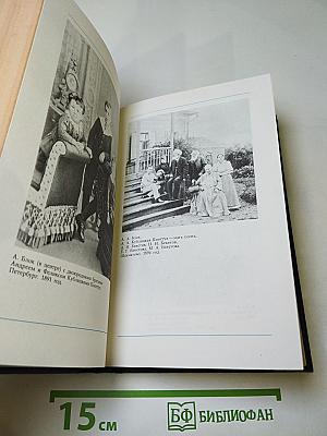 Я лучшей доли не искал... Судьба Александра Блока в письмах, дневниках, воспоминаниях
