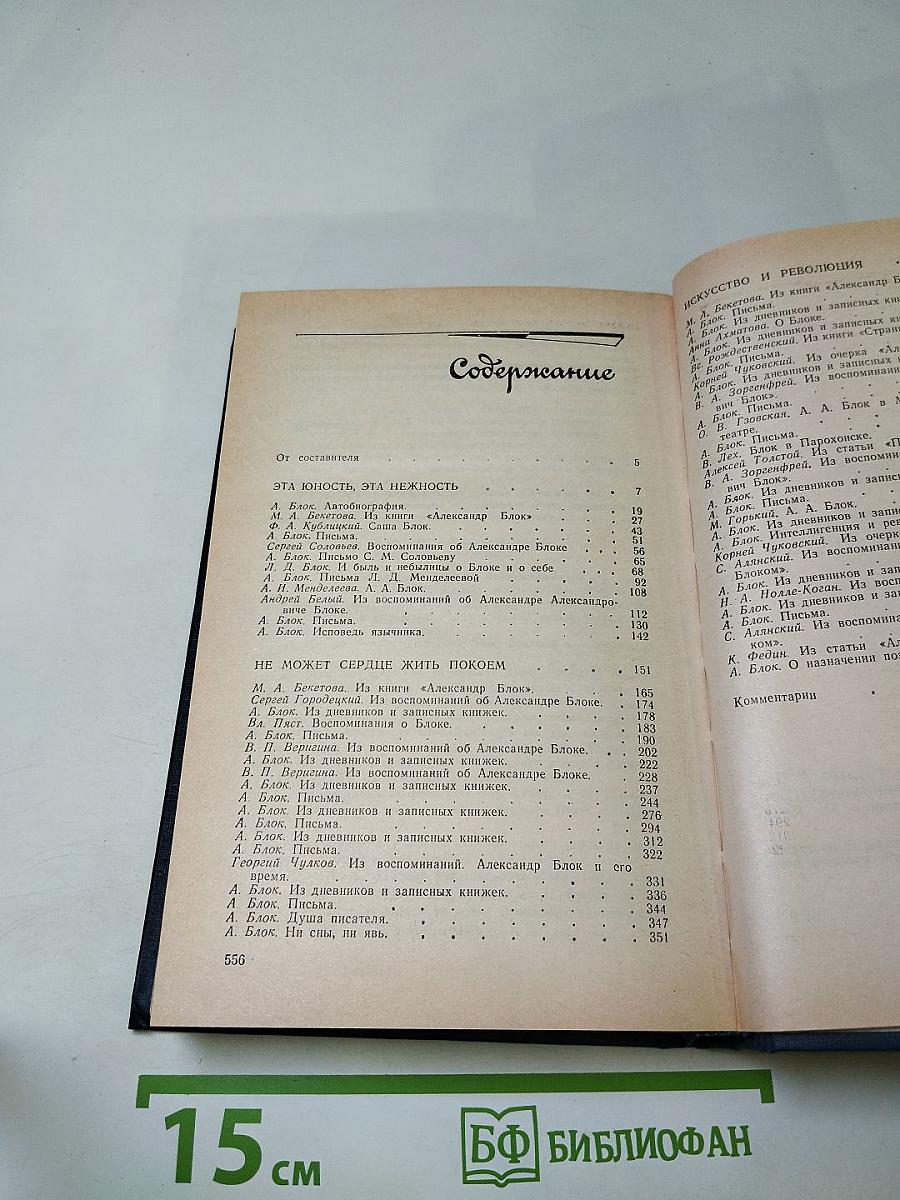 Я лучшей доли не искал... Судьба Александра Блока в письмах, дневниках, воспоминаниях