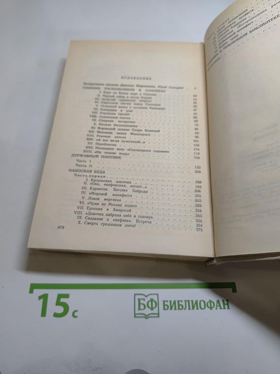 Державный плотник