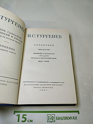Сочинения. Том Шестой. Повести и рассказы "Рудин". Статьи и воспоминания 1853-1856