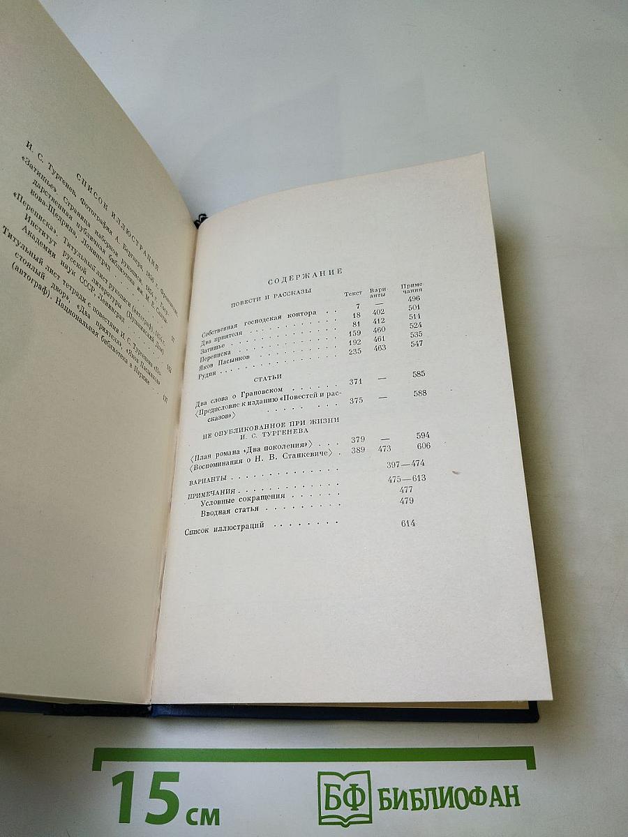Сочинения. Том Шестой. Повести и рассказы "Рудин". Статьи и воспоминания 1853-1856