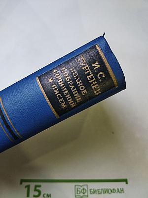 Сочинения. Том Шестой. Повести и рассказы "Рудин". Статьи и воспоминания 1853-1856