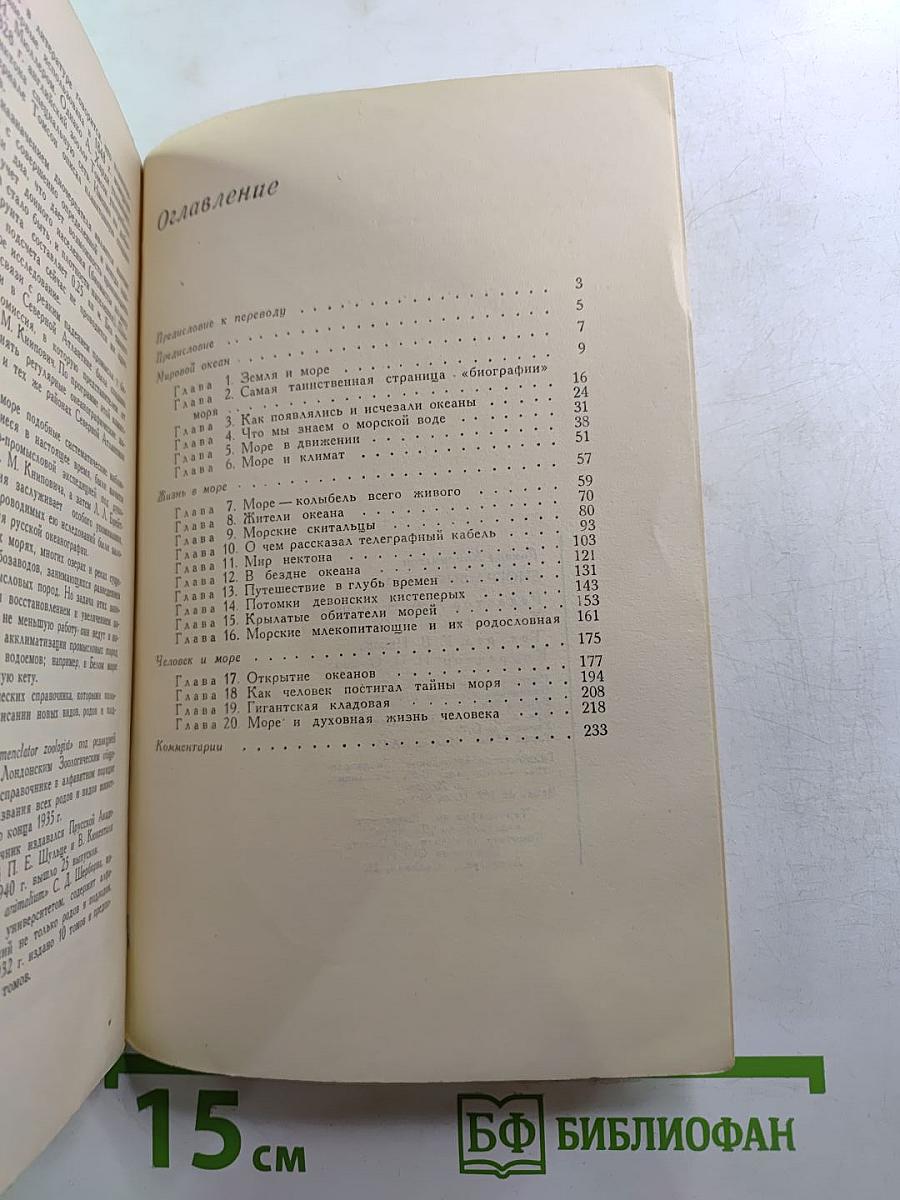 Биография моря