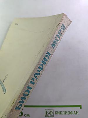 Биография моря