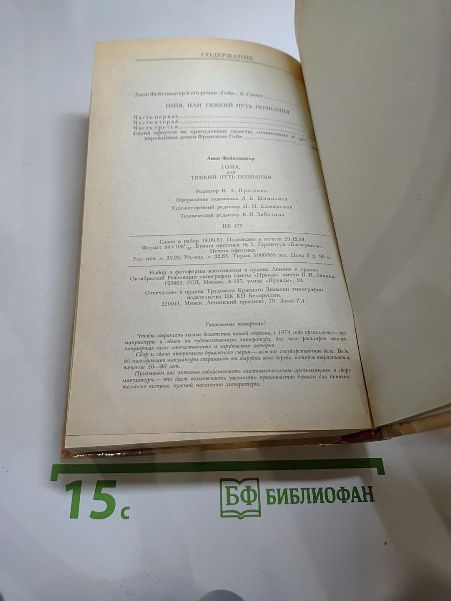 Гойя, или Тяжкий путь познания