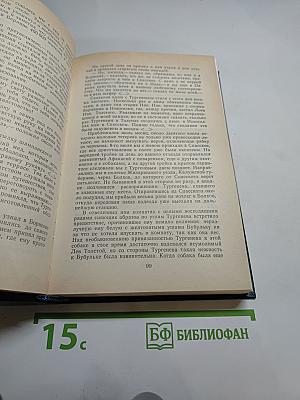 И.С. Тургенев в воспоминаниях современников. Переписка И.С. Тургенева с Полиной Виардо и ее семьей