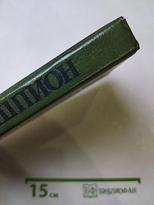Шпион, или Повесть о нейтральной территории