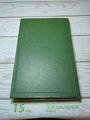 Собрание сочинений. Том седьмой. Повести и рассказы 1868-1870 годов