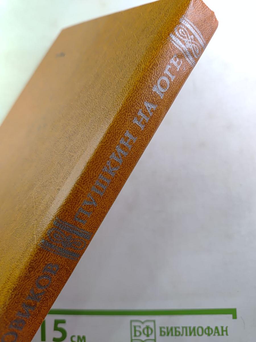 Пушкин на Юге