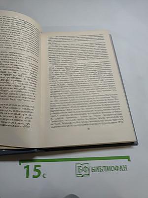 Последний путь Владимира Мономаха