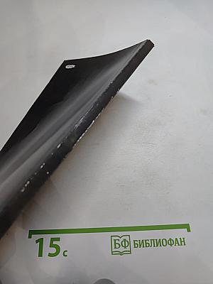 Своевременные мысли, или Пророки в своём отечестве