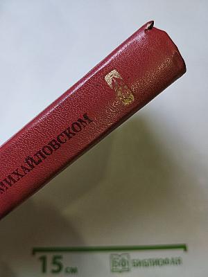 Пушкин в Михайловском