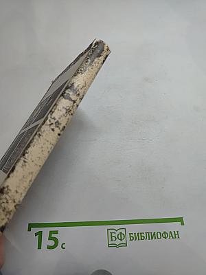 День России