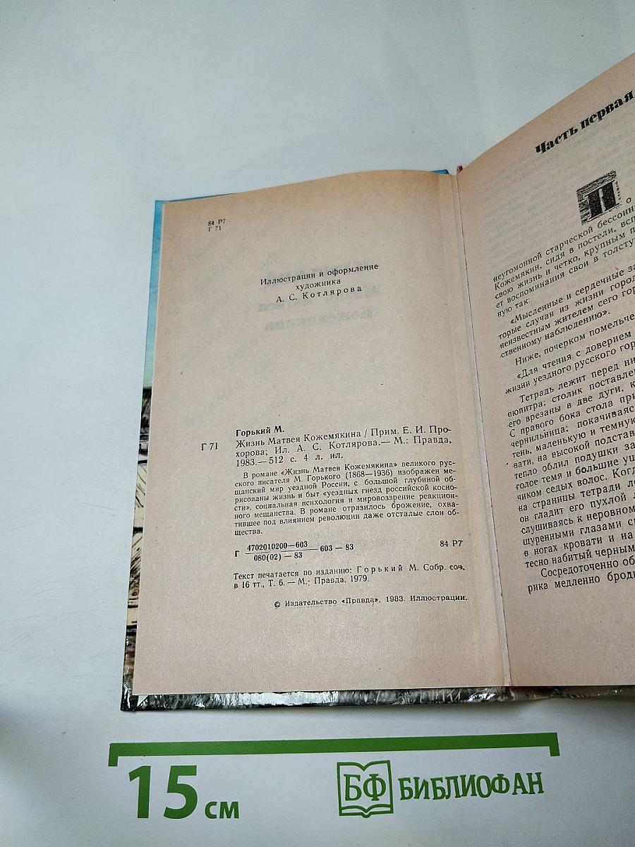 Жизнь Матвея Кожемякина