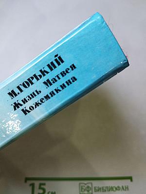 Жизнь Матвея Кожемякина