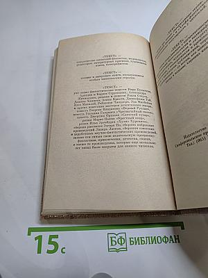 Дорожный детектив