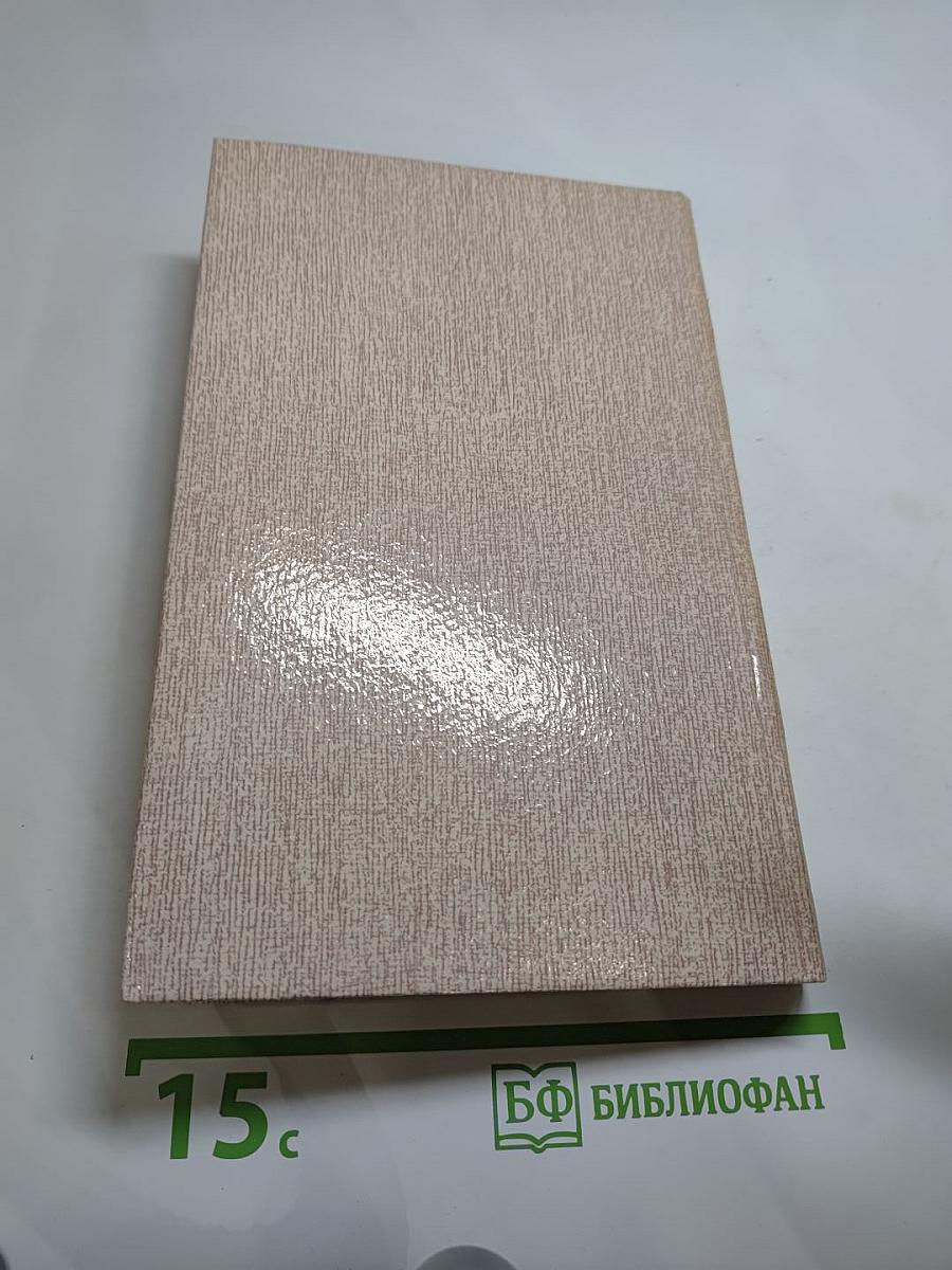 Дорожный детектив