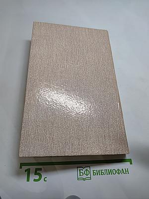 Дорожный детектив