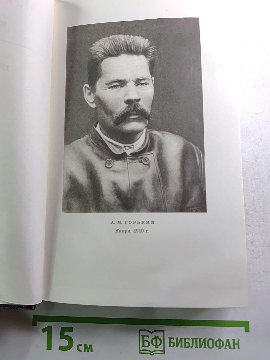 Собрание сочинений. Том одиннадцатый: Повести, рассказы, очерки, стихи. 1907 – 1917