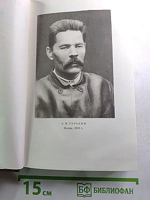 Собрание сочинений. Том одиннадцатый: Повести, рассказы, очерки, стихи. 1907 – 1917