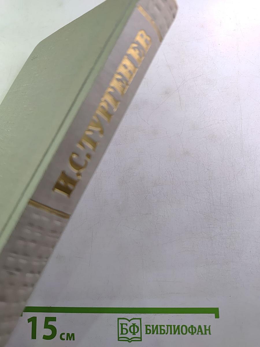 Собрание сочинений. Том восьмой. Повести и рассказы 1870-1882